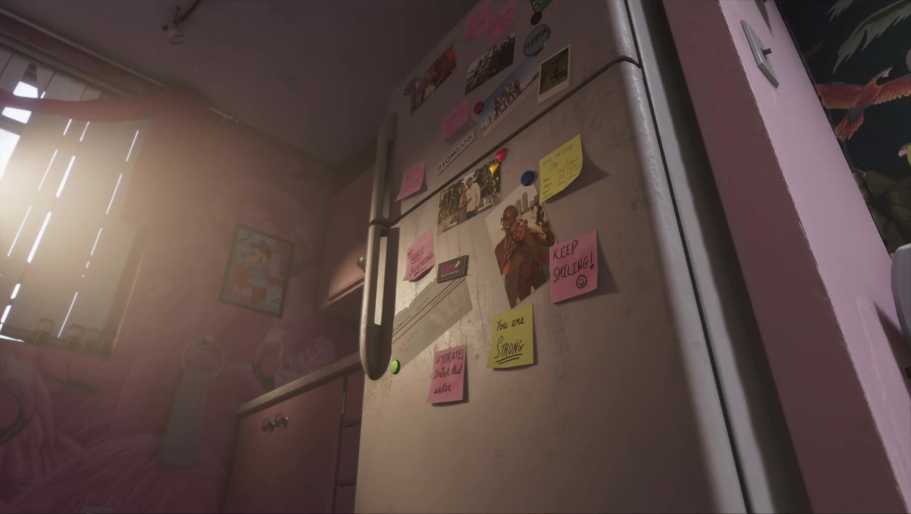 Lucia's fridge covered in handwritten affirmation notes and photos